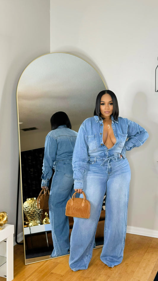 Another Denim Jumpsuit